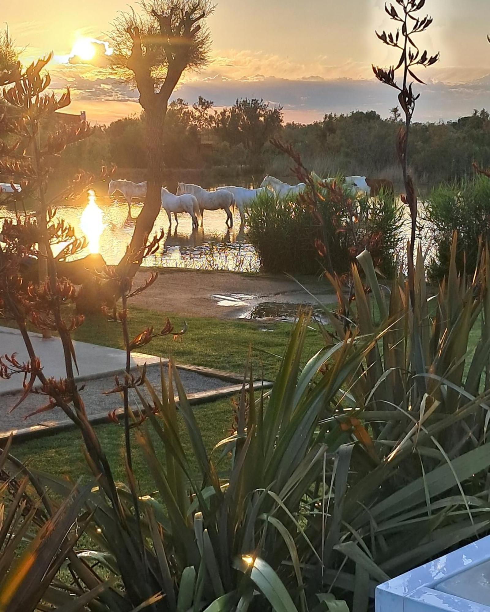 Mas Des Cabidoules Bed & Breakfast Saintes-Maries-de-la-Mer Bagian luar foto