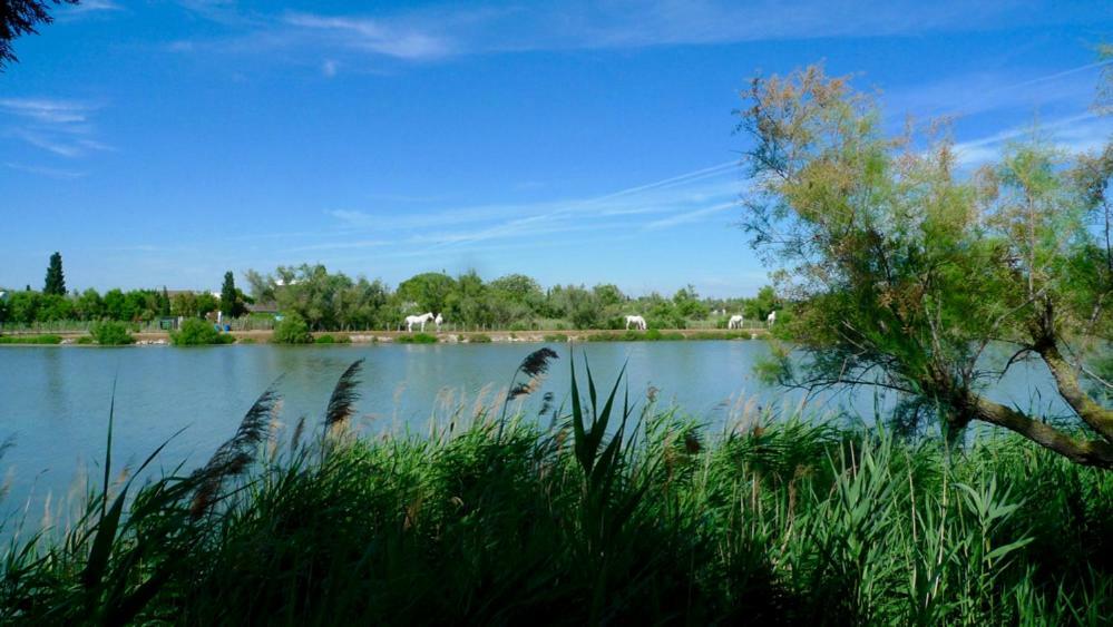 Mas Des Cabidoules Bed & Breakfast Saintes-Maries-de-la-Mer Bagian luar foto