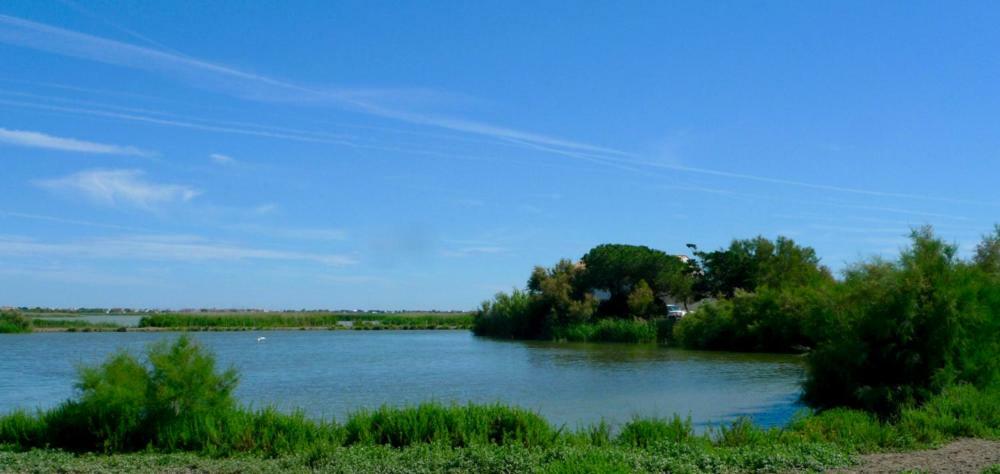 Mas Des Cabidoules Bed & Breakfast Saintes-Maries-de-la-Mer Bagian luar foto